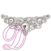 Schiffli on Organza Beaded Motif with Rhinestone Accents